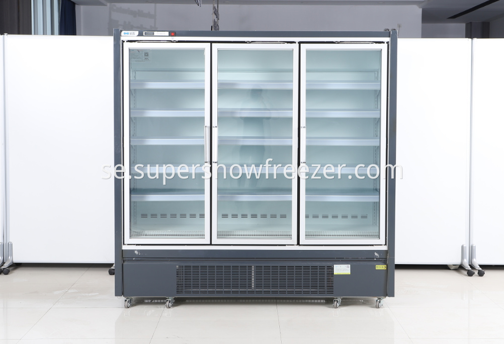 glass door freezer2. png